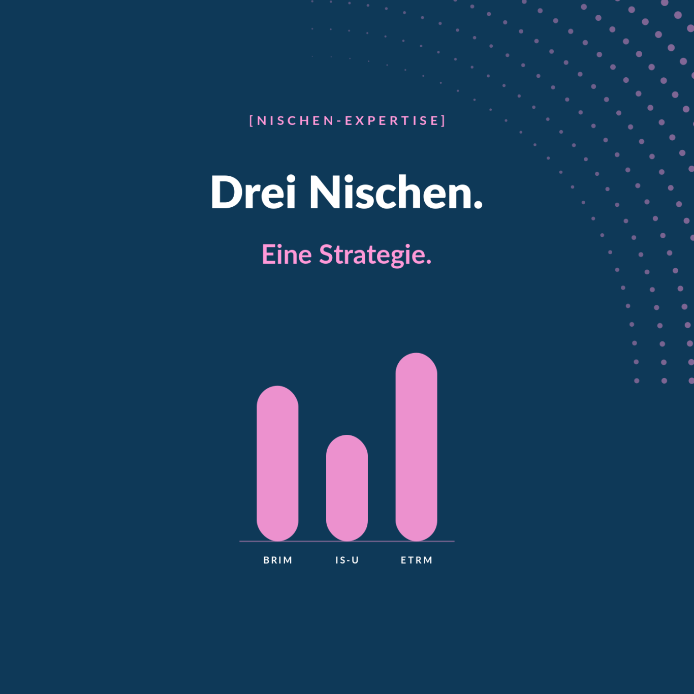 InnoShore Nischen-Expertise: drei Tiefen-Spezialisierungen — SAP BRIM, SAP IS-U und IT für Energy Trading für den DACH-Raum