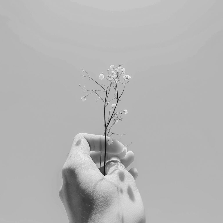 Eine Hand hält einen zarten Zweig mit kleinen Blüten vor einem hellen Hintergrund.